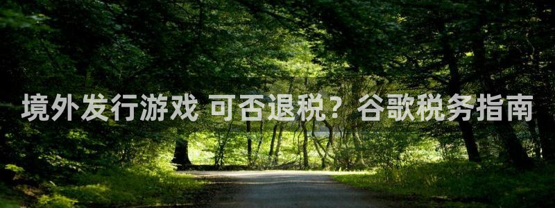 新城平台代理注册：境外发行游戏 可否退税？谷歌税务指南