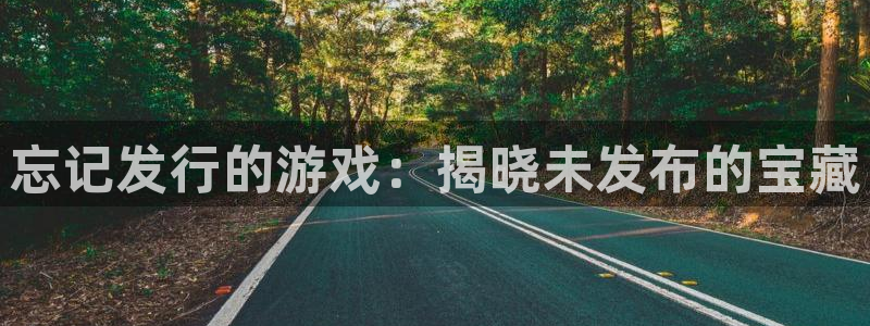 新城平台公司：忘记发行的游戏：揭晓未发布的宝藏