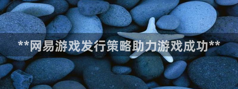 新城平台：**网易游戏发行策略助力游戏成功**